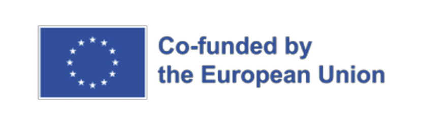 Co-funded by the European Union